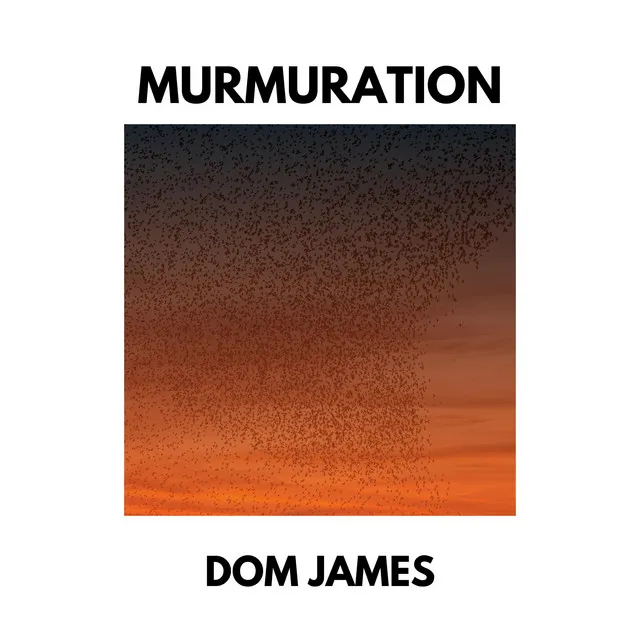 Murmuration