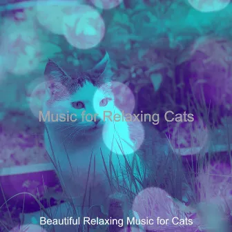 Music for Relaxing Cats by 