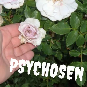 PSYCHOSEN by babybre