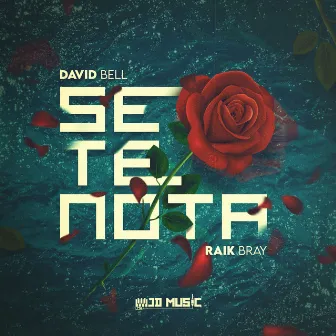 Se Te Nota by David Bell