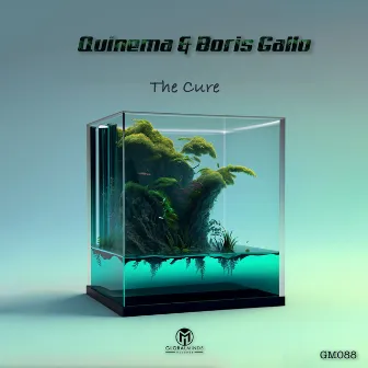 The Cure by Boris Gallo