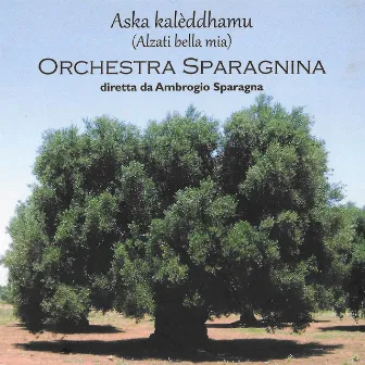 Aska kalèddhamu (Alzati bella mia) by Orchestra Sparagnina