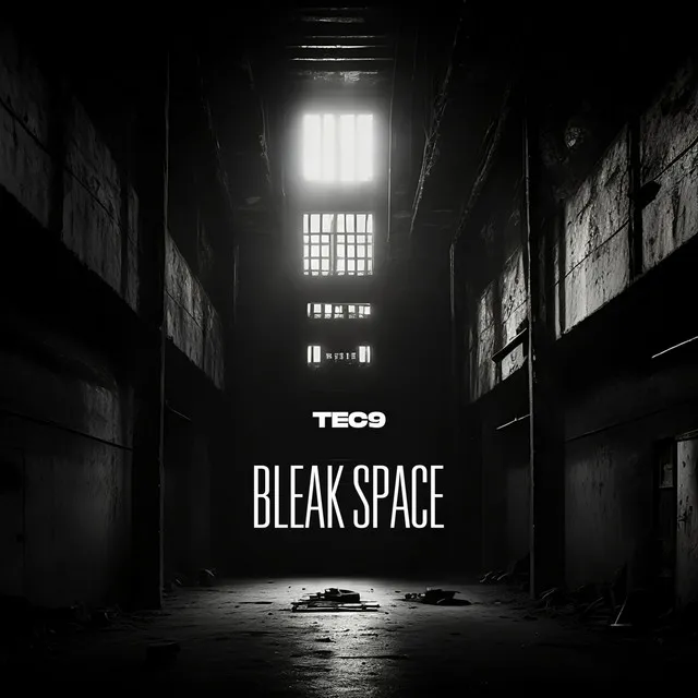 Bleak Space