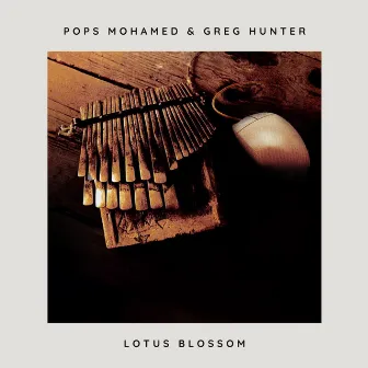 Lotus Blossom (Remastered 2024) by Pops Mohamed