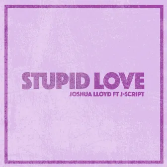 Stupid Love by Joshua Lloyd