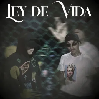 Ley de Vida by Bless LP