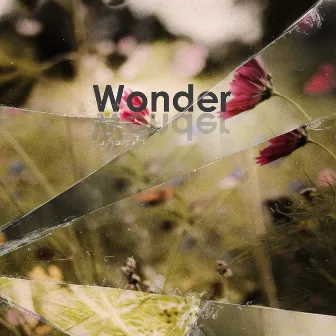 Wonder by Margaret Hermant