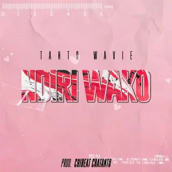 Ndiri Wako by Tanto Wavie