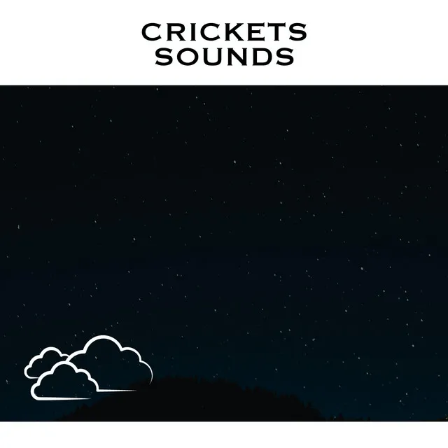 Night Crickets - Loopable