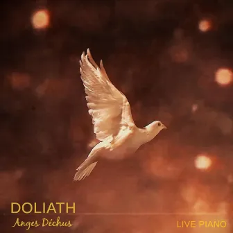 Anges déchus (Live Piano) by Doliath