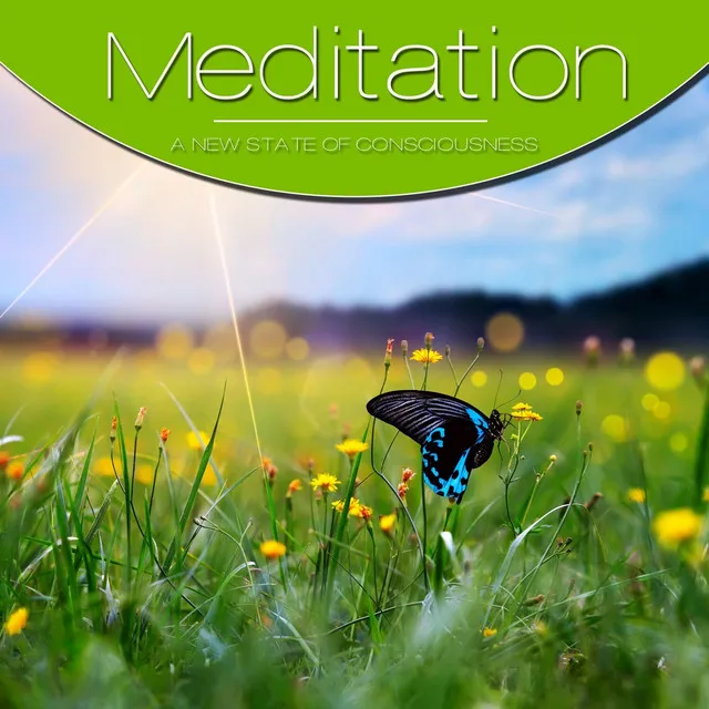 Meditation, Vol. Green, Vol. 2