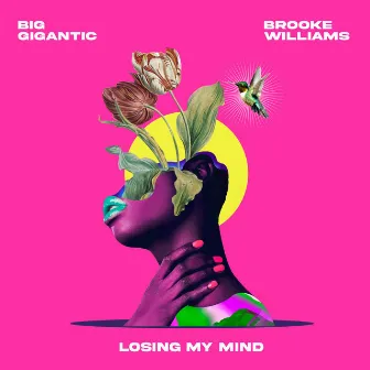 Losing My Mind by Brooke Williams