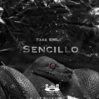 Sencillo by Fake sml