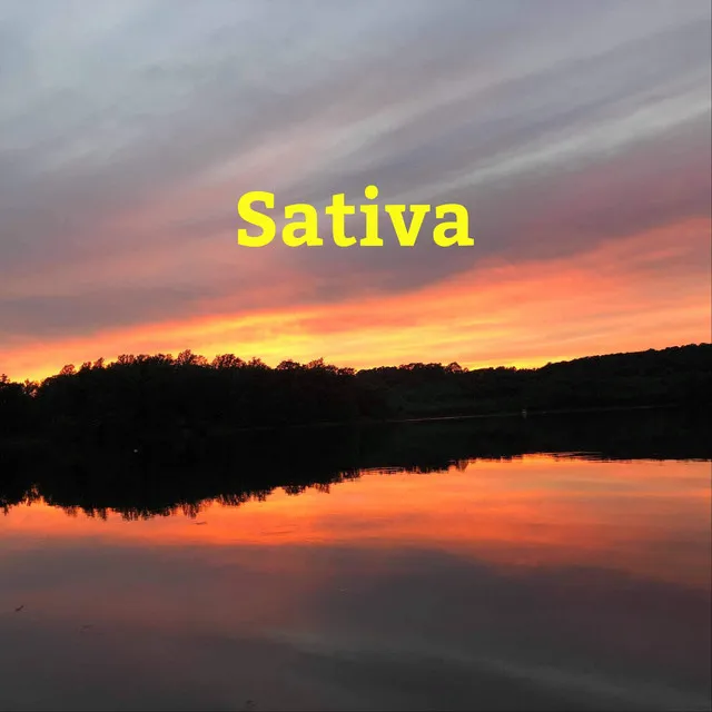 Sativa