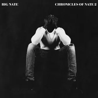 Chronicles Of Nate 2 by Big Nate