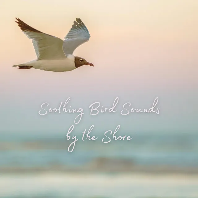 Soothing Bird Sound by the Shore