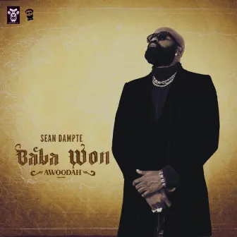 Baba Won - Awoodah by Sean Dampte