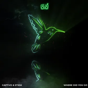 Where Did You Go by Captive