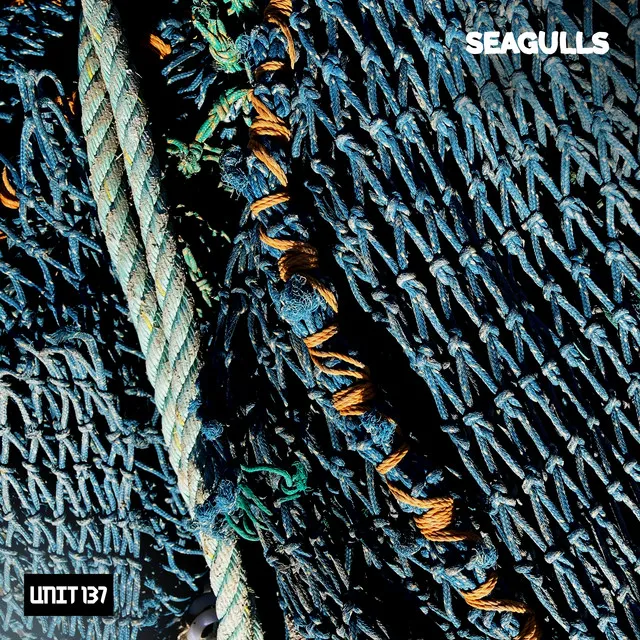 Seagulls