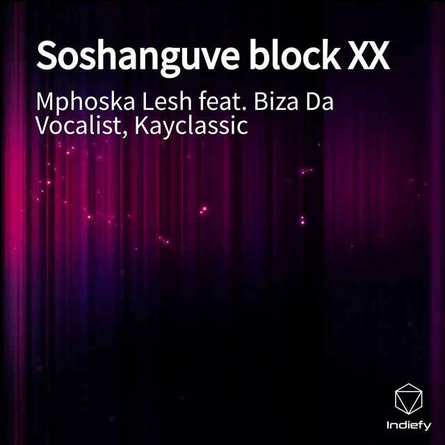 Soshanguve block XX