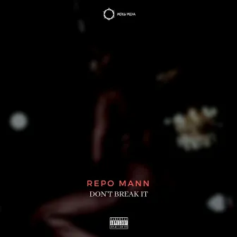 Don't Break It by Repo Mann