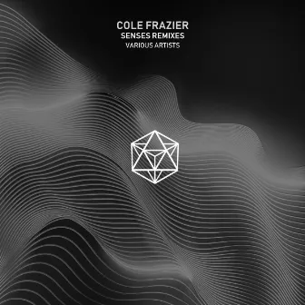 Senses Remixes by Cole Frazier