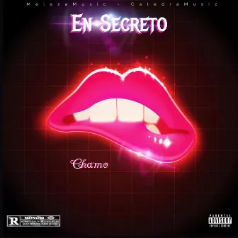 Secreto ) by Chamo el Bandydo