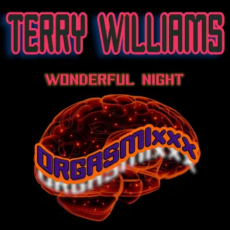 Wonderful Night by Terry Williams