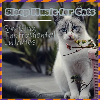 Sleep Music for Cats - Soothing Instrumental Lullabies by Cat Music Zone