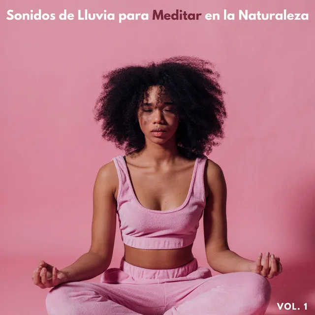 Sonidos De Lluvia Para Meditar En La Naturaleza Vol. 1