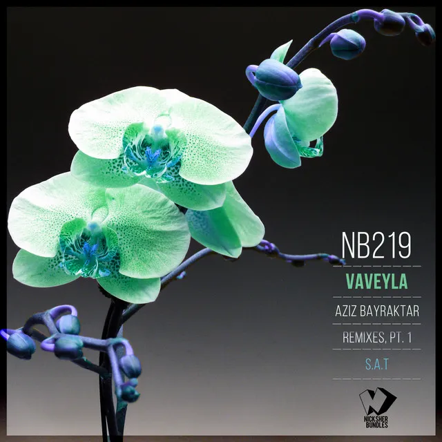 Vaveyla (Remixes, Pt. 1)