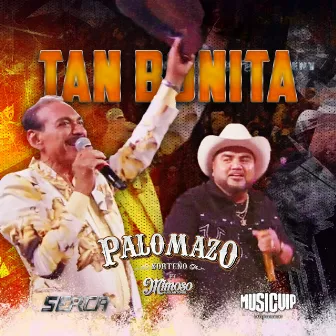 Tan Bonita (EN VIVO DESDE EL DOMO CARE) by PALOMAZO NORTEÑO