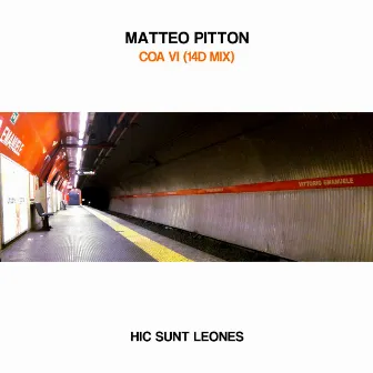 Coa VI (14D Mix) by Matteo Pitton