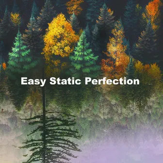 Easy Static Perfection by Sleep With White Noise