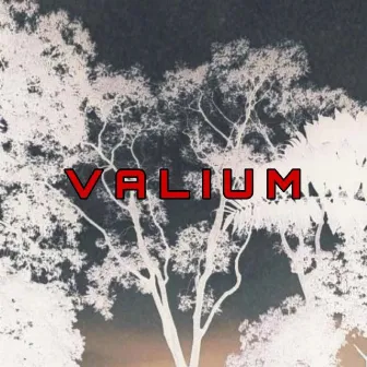 Valium by Zizou