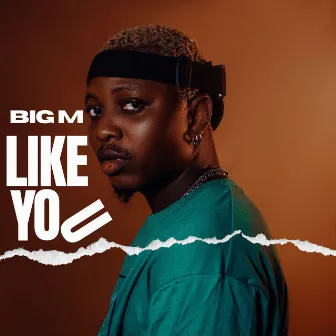 Like You by Big M