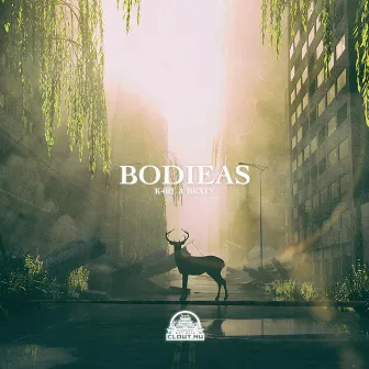 Bodieas by brxly