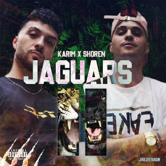 Jaguars by Karim Barek