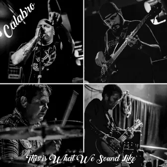 This Is What We Sound Like by Calabro