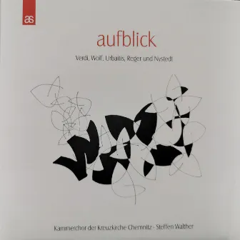 Aufblick by Chamber Choir of the Kreuzkirche Chemnitz