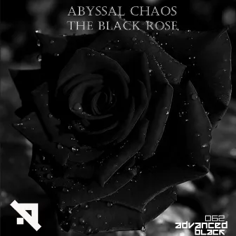 The Black Rose by Abyssal Chaos