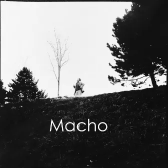 Macho by Muzikant Králíček