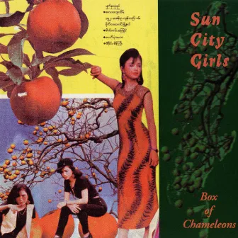 Box Of Chameleons by Sun City Girls