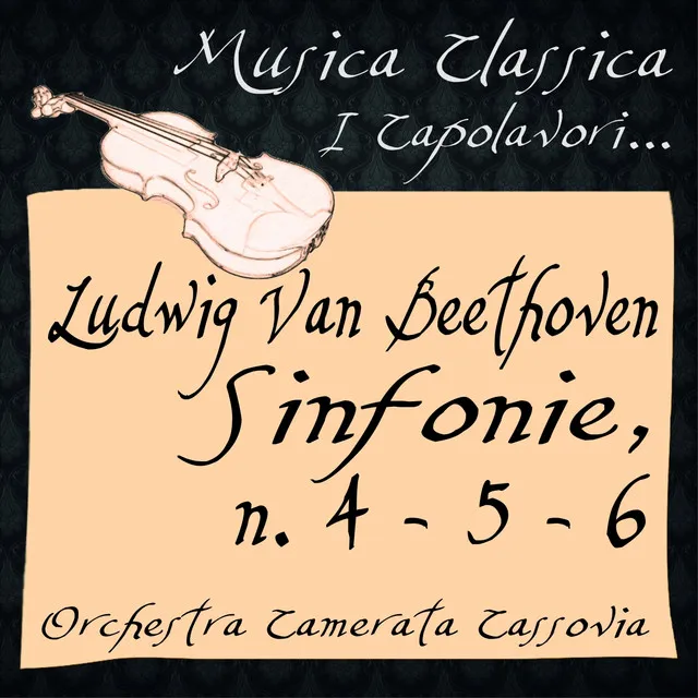 Symphony No. 5 in C Minor, Op. 67: III. Allegro