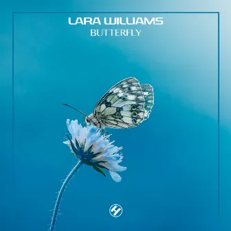 Butterfly by Lara Williams