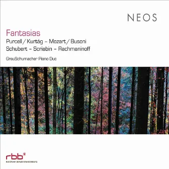 Fantasias by Grauschumacher Piano Duo