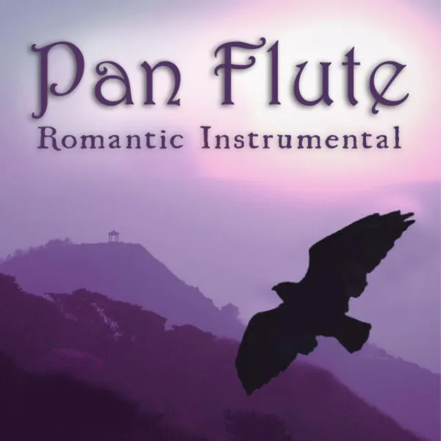 Romantic Instrumental Hits