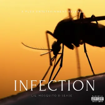 Infection by Lil Mosquito Disease