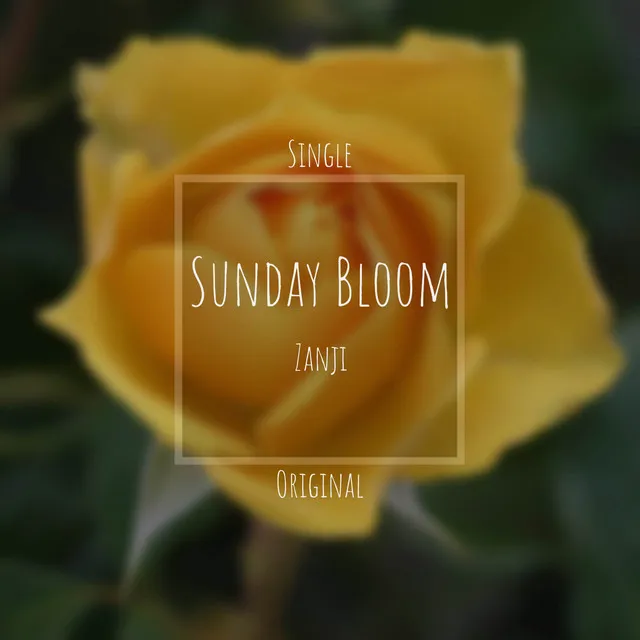 Sunday Bloom