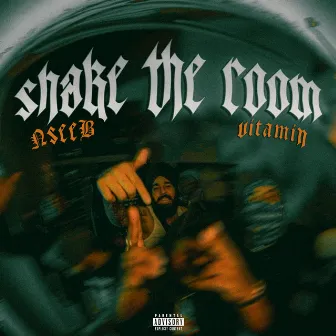 Shake The Room by Vitamin